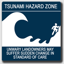Tsunami