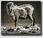 So who was getting fleeced here?