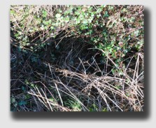 ... it turned out the hole was considerably smaller ...