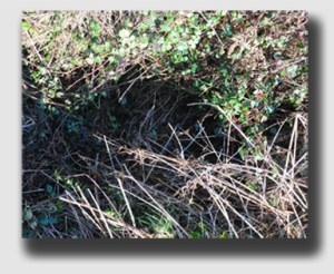 ... it turned out the hole was considerably smaller ...