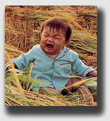 The Bondes could no longer park their kid on the back patio, out of fear that a falling branch would bean him. The infant was not amused ...