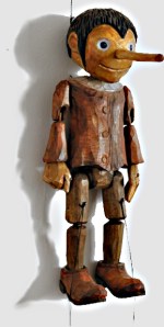 Tracy - watch the insurance adjuster's nose carefully while he or she explains that the tree was healthy.