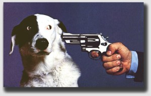 Shooting the Rileys dog was just plain wrong.