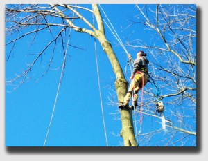 This is not amateur hour ... as the penny-pinching landlord found out.