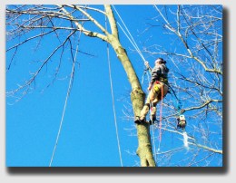 This is not amateur hour ... as the penny-pinching landlord found out.