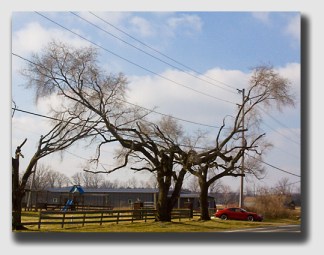 There's a lot of bad trimming going on out there ...