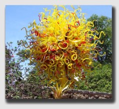 Perhaps an exotic balloon tree in your backyard? Sure ... just remember, it's probably not a "natural growth" on the land.