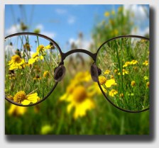 The Meyers v. Delaney rule - it's not foreseeable unless its seeable.