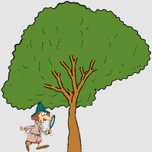 A landowner has no affirmative duty to inspect trees where no defect is "readily observable."