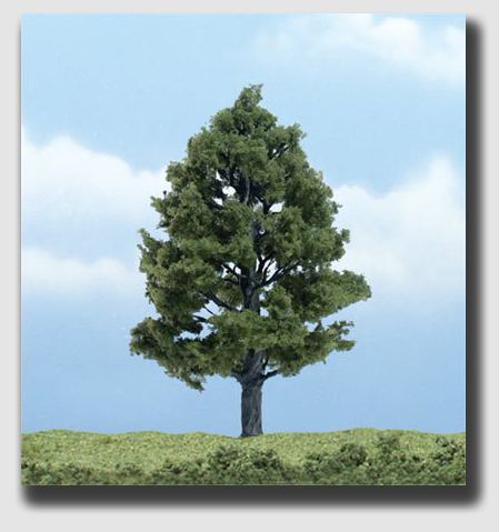 Sweetgum tree ... star of Fancher v. Fagella, making an encore appearance here.