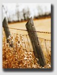 fence040407