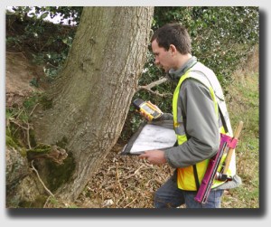 Pay the inspector, Shirley ... it's a lot easier and cheaper to do it now.