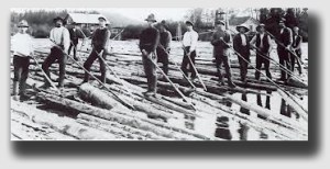 The Tree and Neighbor Law crew, ready to get the timber to market.