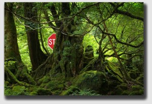 The sign's obscured by a rainforest?  That's fine with Georgia, as long as you didn't plant it ...