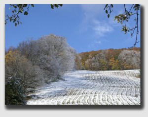 Public policy opposes burdening rural landowners with the duty of inspecting their property for hazard trees ... but if the landowner knows there's a problem, he or she should attend to it.