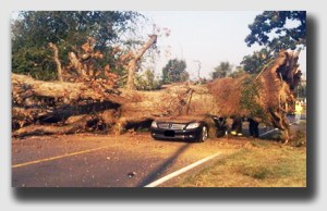 These things happen ... but the landowner may be liable, depending on what he or she knew and when he or she knew it.