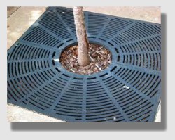 Tree well – is it a threat or simply a menace?