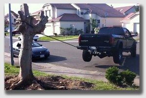 Tree vs. truck - who wins?  Certainly not the people taking down the tree ...