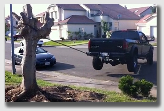 Tree vs. truck - who wins? Certainly not the people taking down the tree ...