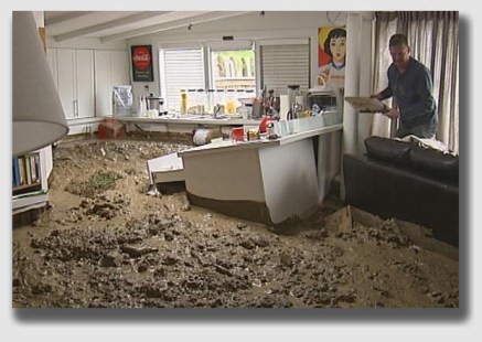 To hear Ms. Rahmanian tell it, her bungalow was fouled beyond salvation.