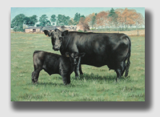 Rose, not barren at all, was worth about 12 times what farmer Sherwood sold her for.