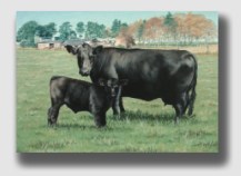 Rose, not barren at all, was worth about 12 times what farmer Sherwood sold her for.