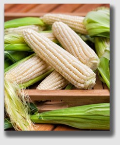 Silver Queen - "corn to the corners" of your plate.