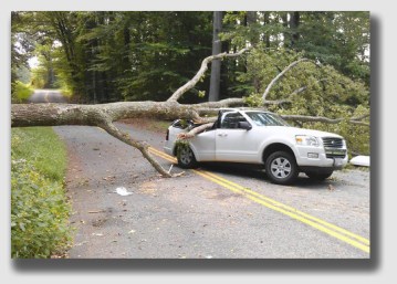 We bet the driver heard this one ...