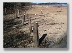 trespasstimber150126