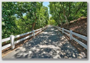 Gabriele's driveway was this long ... but not this nice.