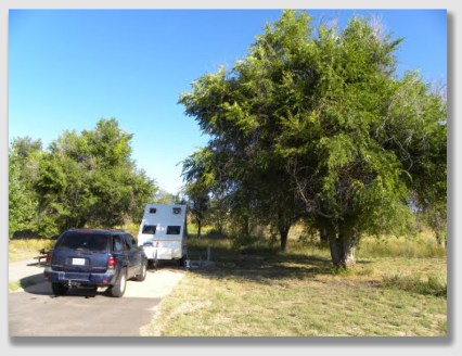 Cottonwoods in the park ... If you know cottonwoods, you know how they like to shed.