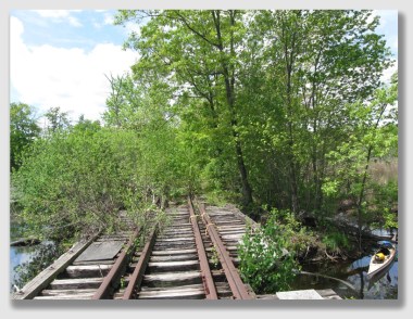 The tracks may have been a little obscured by trees, but not quite like this.