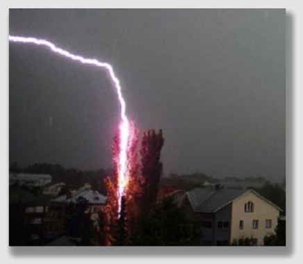 No one knows exactly what happened, but it was a cinch that Asplundh wasn't to blame.