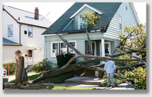 If you intentionally cut down one of your own trees, but it unintentionally falls on the house, you're still covered. We're pretty sure. But read the fine print.