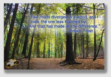 The road abandoned, maybe? Bayou law would bring a tear of joy to Robert Frost's eye ...