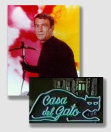 Robert Loggia as Thomas Hewitt Edward Cat, accomplished second-story man turned bodyguard in this 1960s action series ...