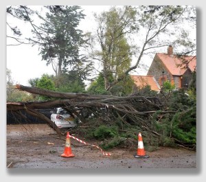 After Mr. Bright's car got crushed, the county tried to do the same to his lawsuit ...