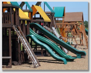 Mr. Guzzetta had plans ...