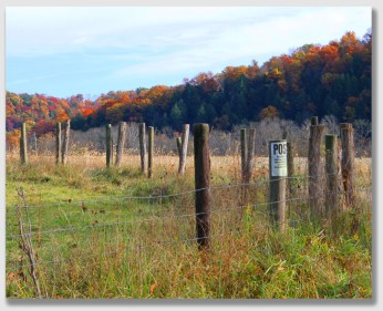 The old fence marked something ... just not the boundary.