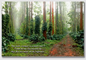 The Thompsons demanded that Ashton Road be the road not taken ... but the whole idea frosted Ms. Smith.