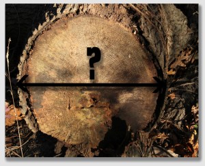 And how big was the log?