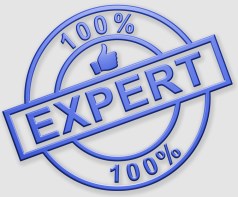 "100% Expert" Cachet (bleu)