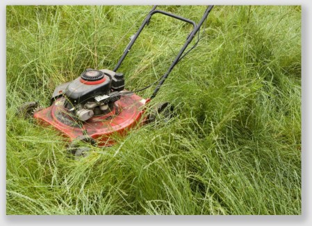 mower160524