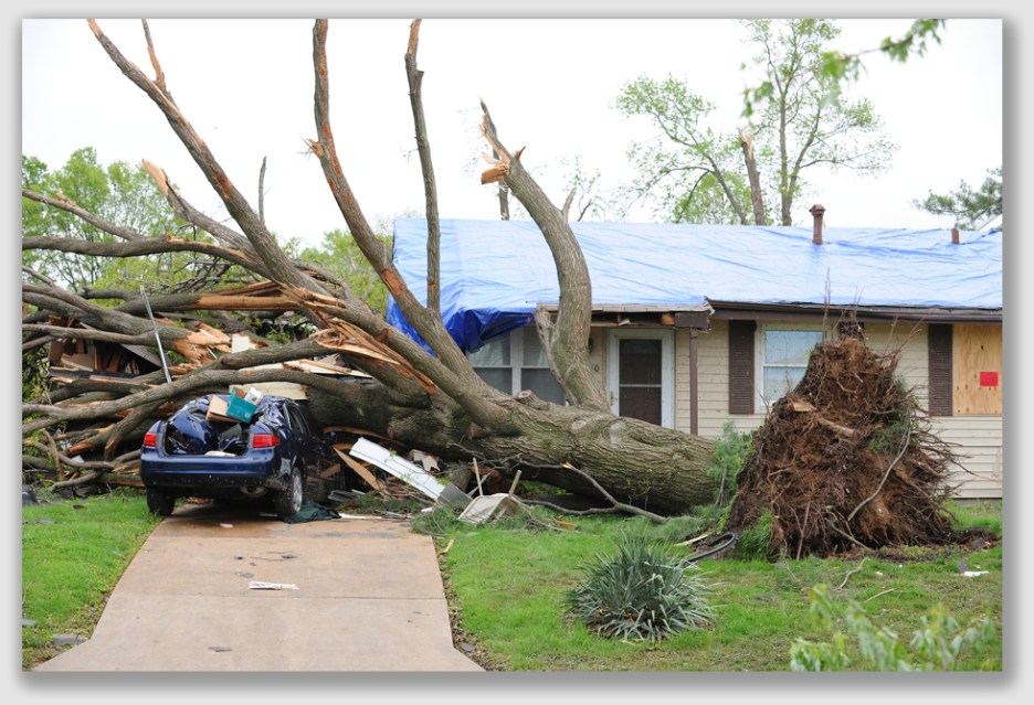 Ms. Cannon could not prove any damages flowing from the alleged encroachment ... unlike this guy.