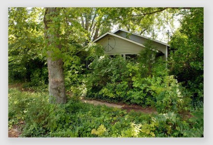 You know the kind... never owned a saw, never used a set of hedgeclippers.