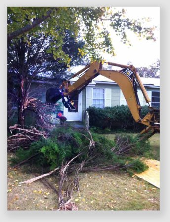 A trackhoe removing a tree... rather a blunt instrument. 