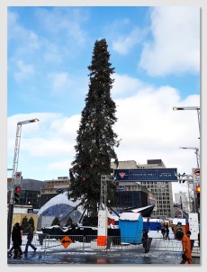 montrealtree161221